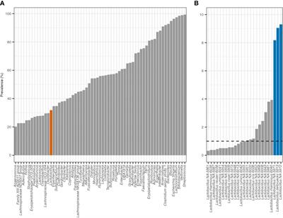 Human leukocyte antigen-dependent colonization of Lactobacillus in the early-life gut